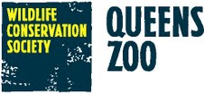 QZ-logo